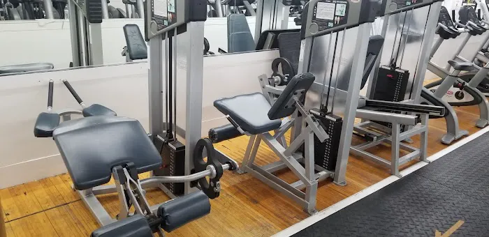 Dolphin Fitness Clubs Picture 10