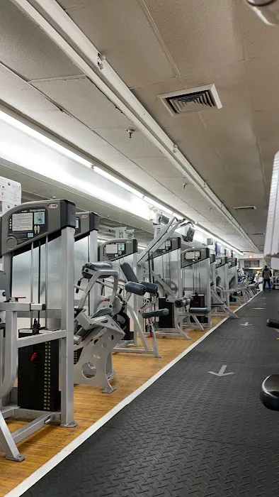 Dolphin Fitness Clubs Picture 4