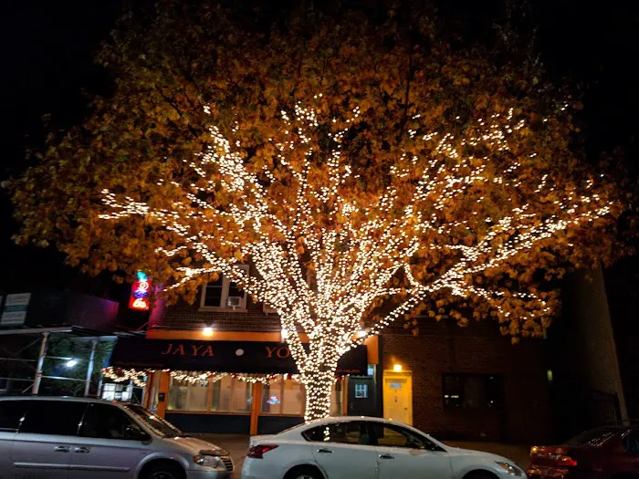 Jaya Yoga East | Brooklyn, NY * Since 2000 Picture 8