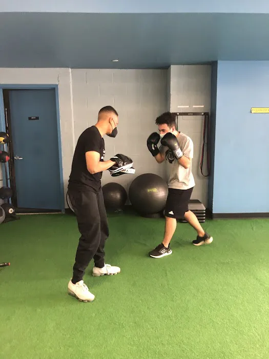Park Fitness Gym Picture 3