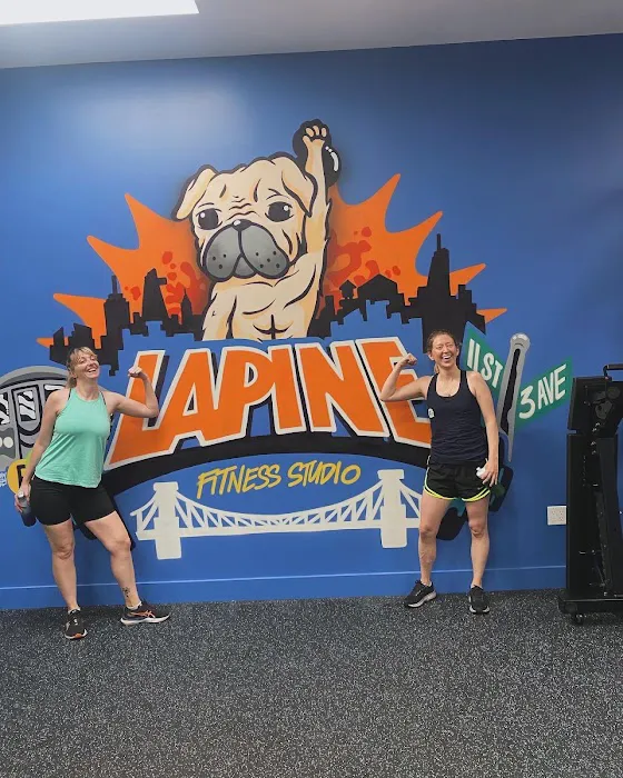 Lapine Fitness Studio Picture 2