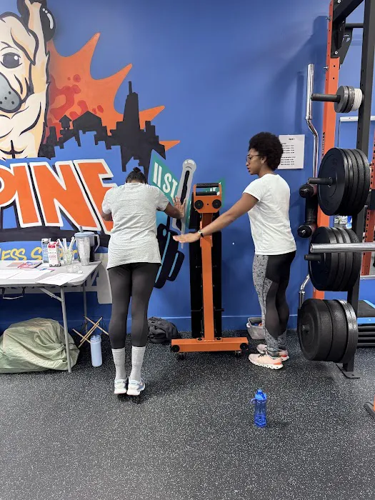 Lapine Fitness Studio Picture 5