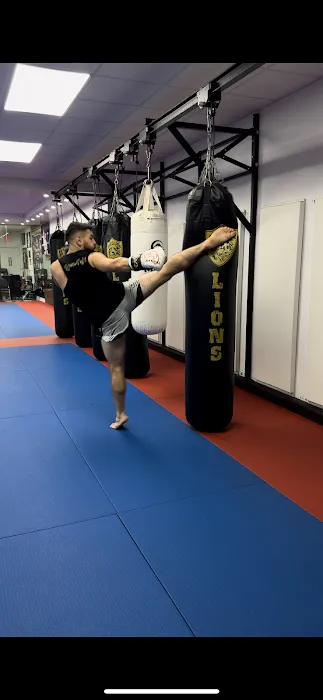 Lions Fight Kickboxing, MMA & Personal Training Picture 10