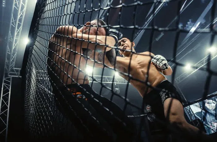 Lions Fight Kickboxing, MMA & Personal Training Picture 6