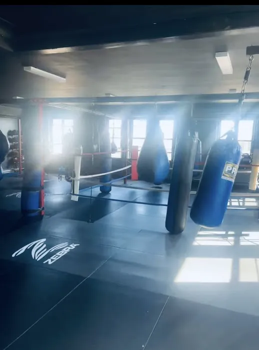 JC MUAY THAI Picture 1