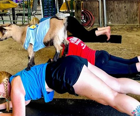 Goat Yoga RVA