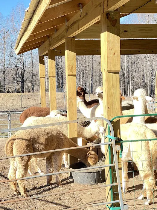 Goat Yoga RVA Picture 7