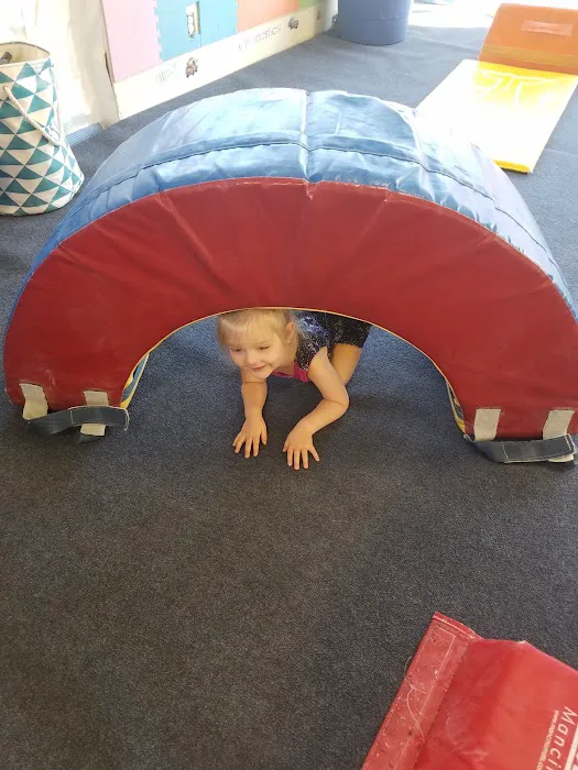 Gym Quest Gymnastics Picture 1