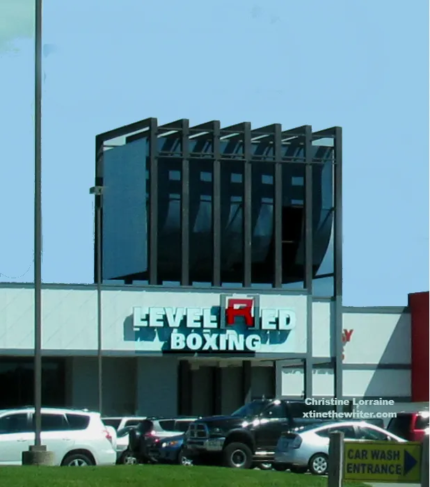 Level Red Boxing Picture 3