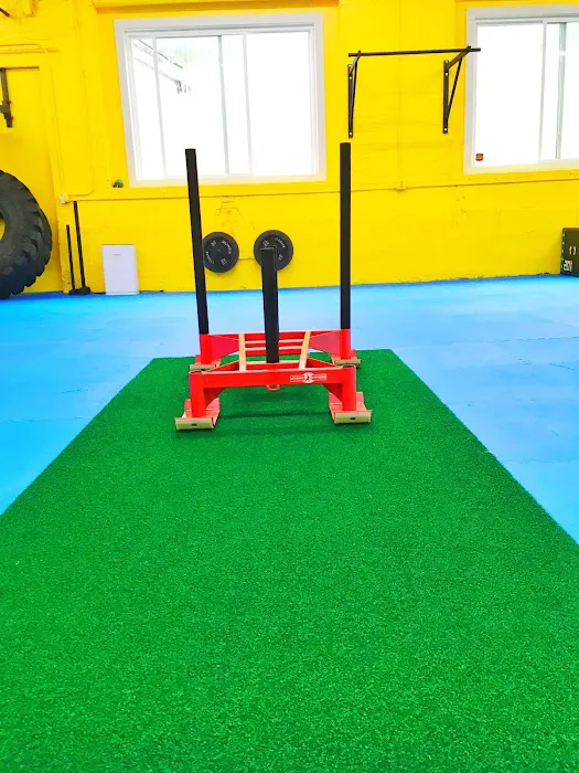 Warrior Fitness & Wellness, LLC Picture 3