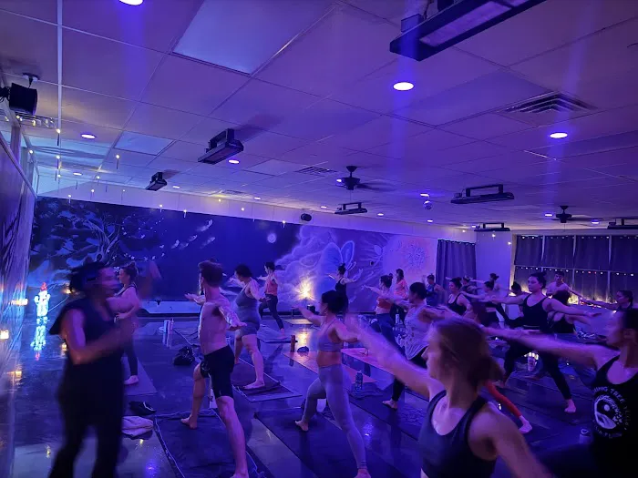 Dreaming Tree Yoga Picture 8