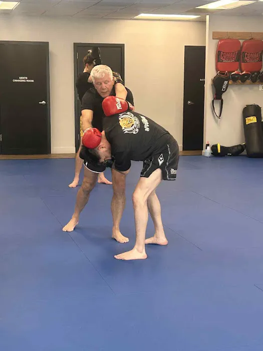 Thai Boxing University Picture 3