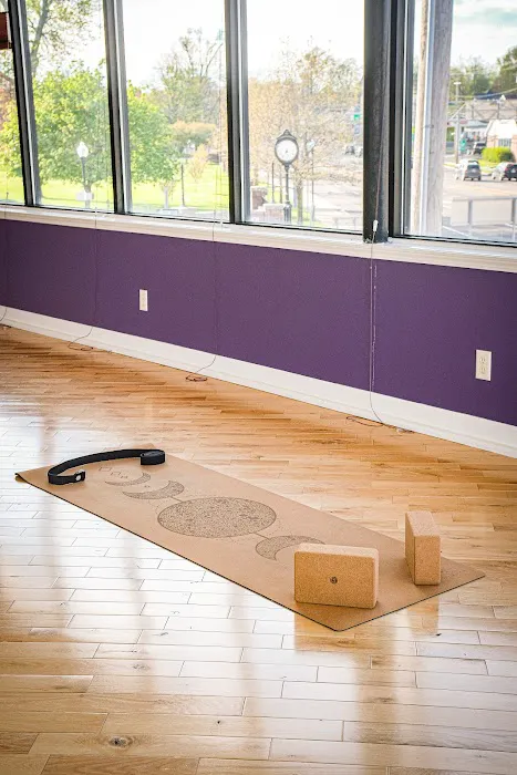 Blue Moon Yoga & Movement Studio Picture 4