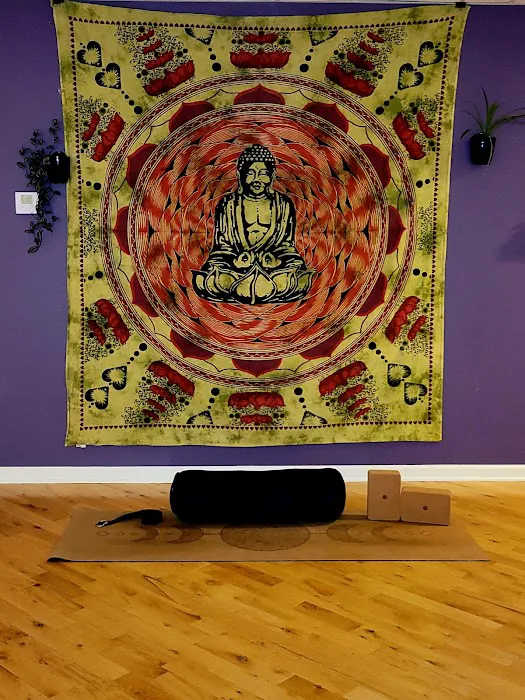 Blue Moon Yoga & Movement Studio Picture 6