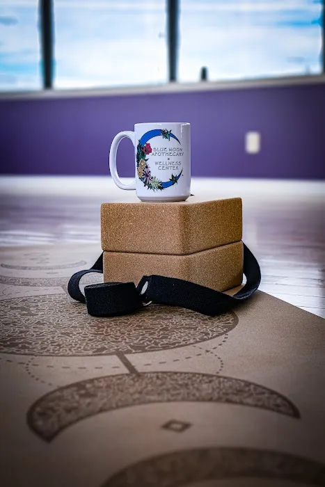 Blue Moon Yoga & Movement Studio Picture 8