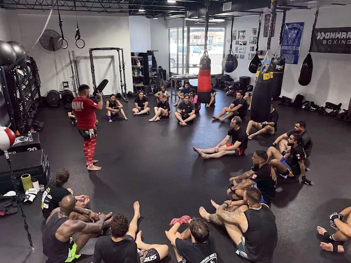 Machado Muay Thai Stamford Picture 5