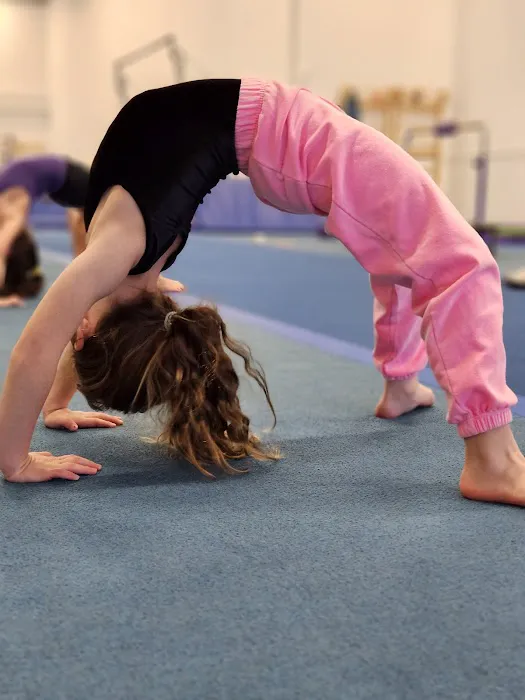 RJ GYMNASTICS Picture 4