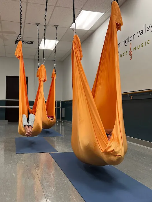 Sky's The Limit - Aerial Fitness & Yoga Picture 2