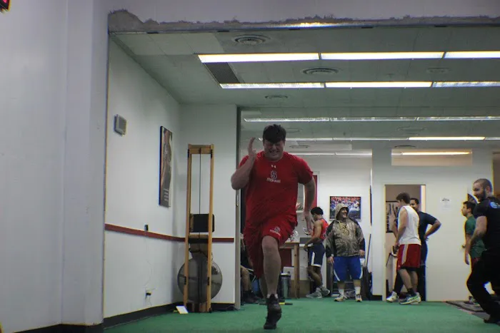 The Zone: Strength and Fitness Picture 4