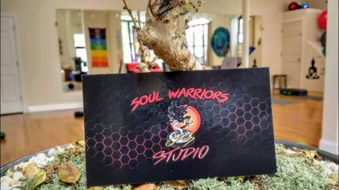 SOUL WARRIORS JS STUDIO LLC Picture 7