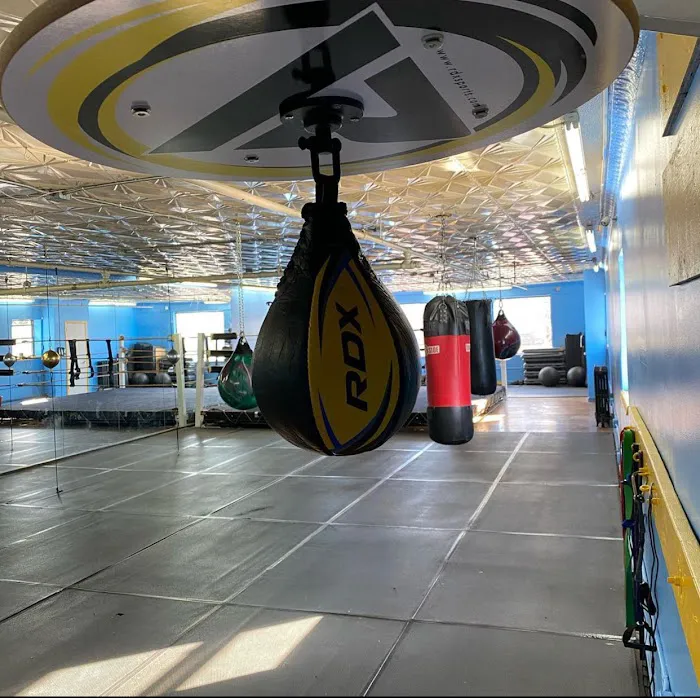 Ludus Magnus Boxing & Fitness Picture 2