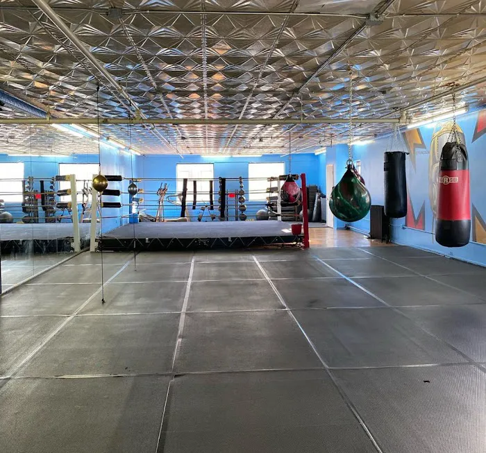 Ludus Magnus Boxing & Fitness Picture 4