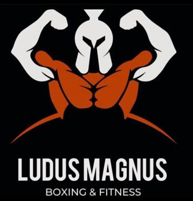 Ludus Magnus Boxing & Fitness Picture 3
