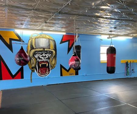 Ludus Magnus Boxing & Fitness
