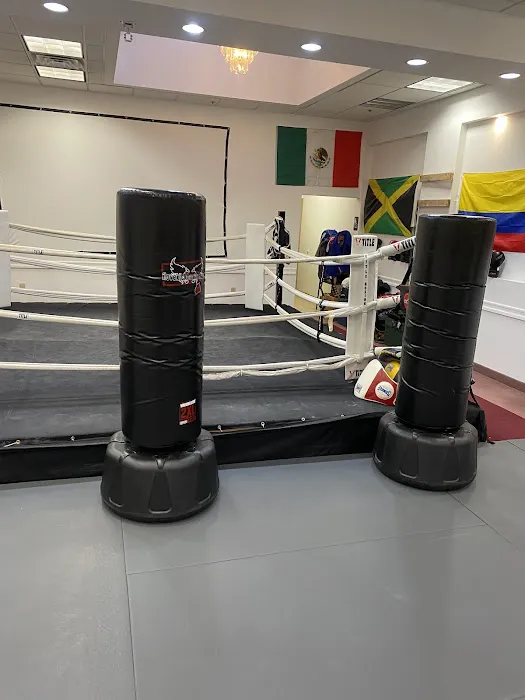 North Bergen Boxing Picture 5
