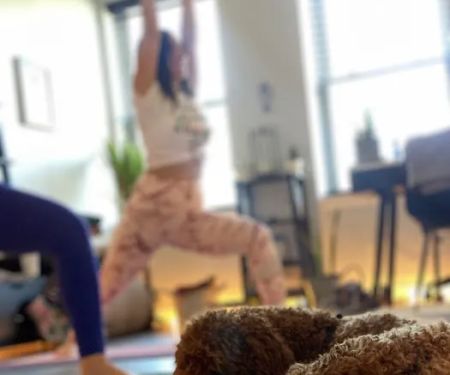Rise & Flow Yoga, Healing & Wellness Studio