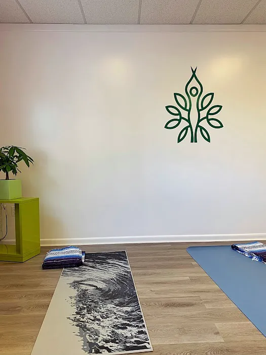 Energy Flow Yoga Studio Picture 2