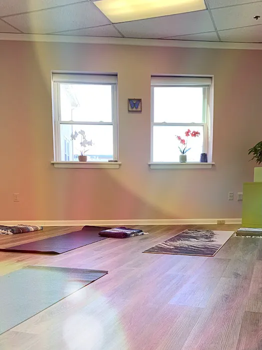 Energy Flow Yoga Studio Picture 1
