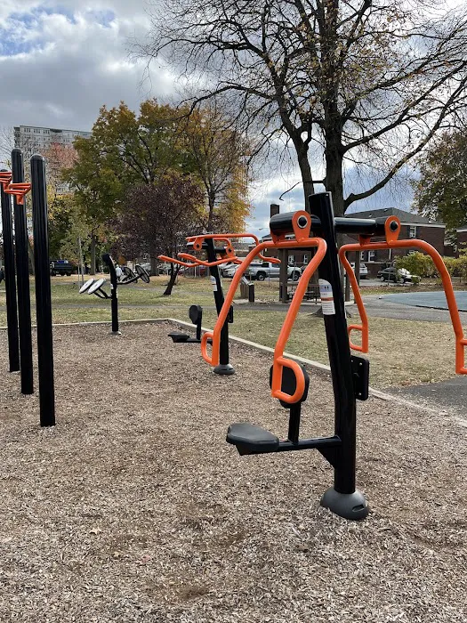 Outdoor gym Picture 8
