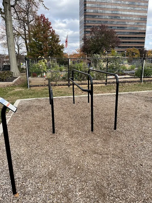 Outdoor gym Picture 6