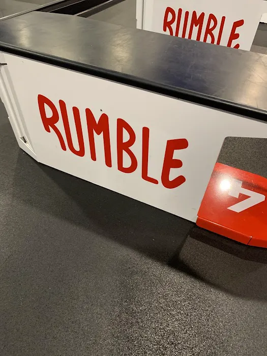 Rumble Boxing Picture 3