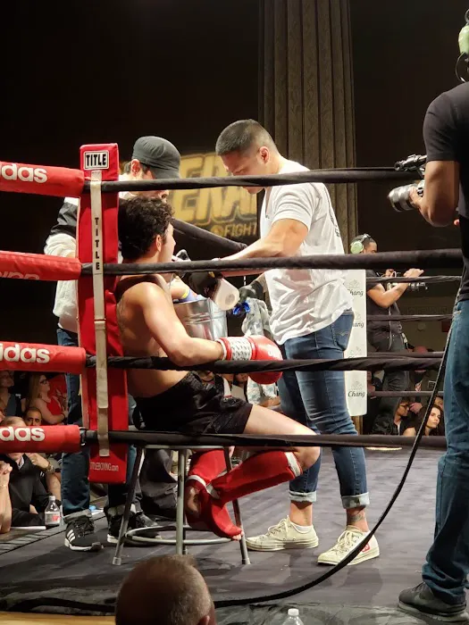 THE FIGHT LAB USA Picture 2