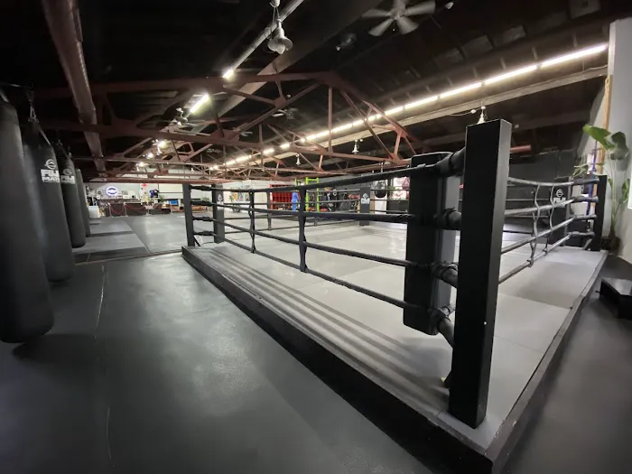 THE FIGHT LAB USA Picture 7