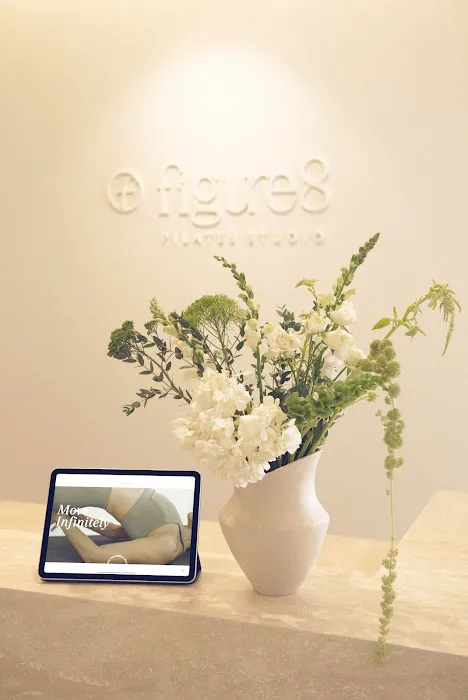Figure8 Pilates Studio Picture 8