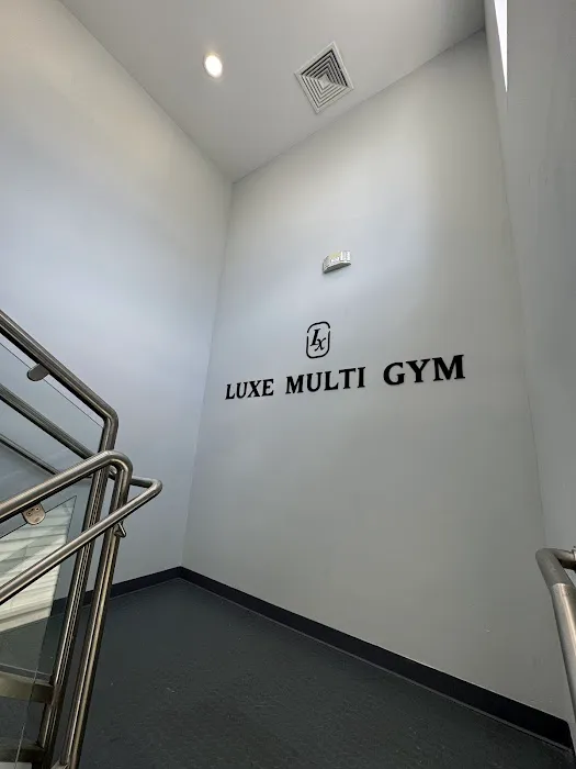 Luxe Multi Gym Picture 7