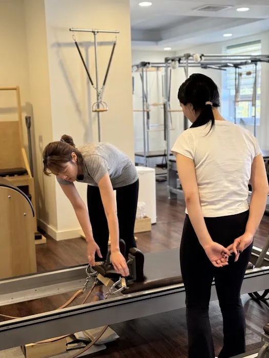 Luxe Multi Gym Picture 6