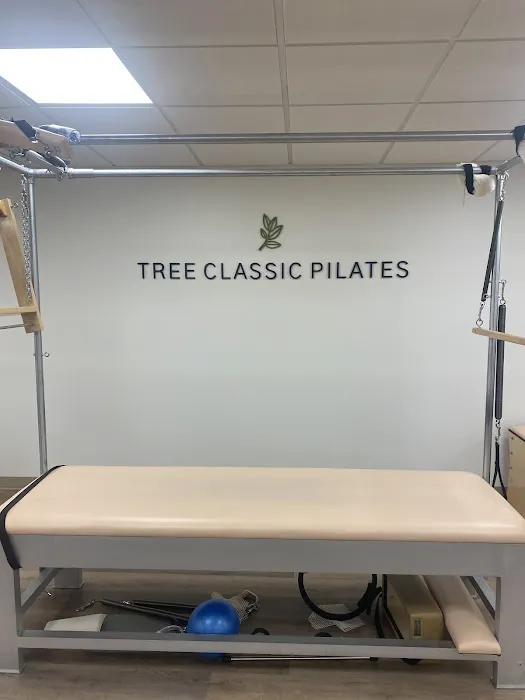 Tree Classic Pilates Picture 4