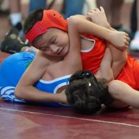 Wolf Wrestling Club ico