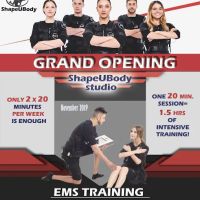 ShapeUBody EMS Fitness Training and Workout ico