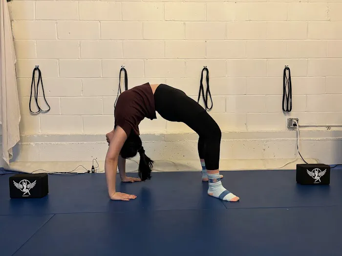 Tiger Mom Aerial Hoop Studio Picture 6