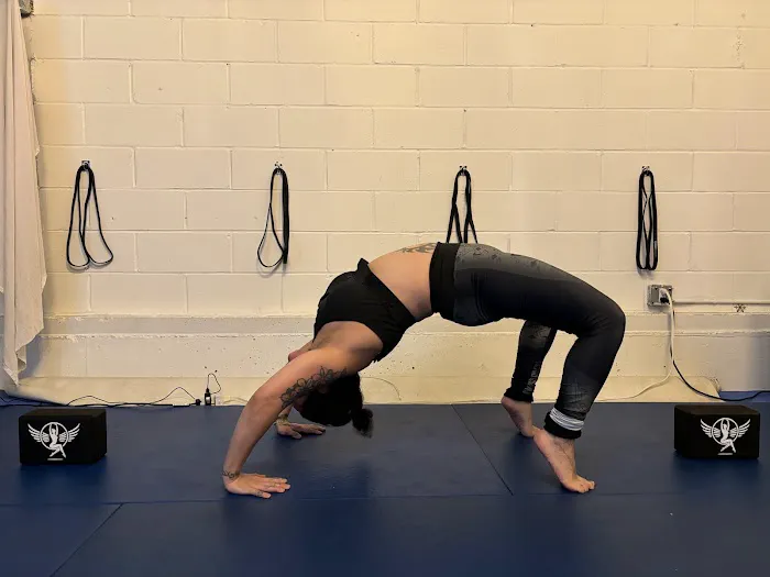 Tiger Mom Aerial Hoop Studio Picture 2