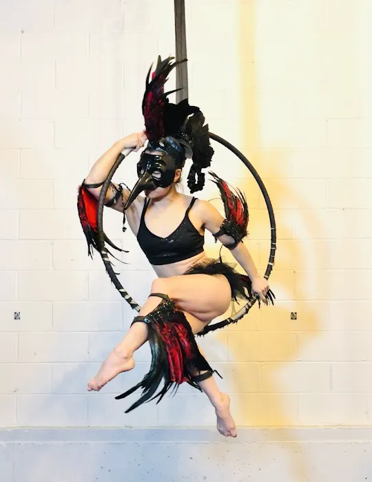 Tiger Mom Aerial Hoop Studio Picture 7