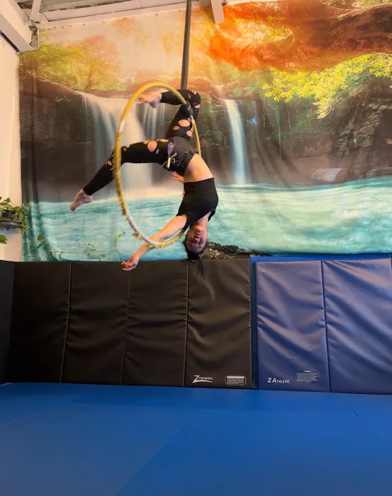Tiger Mom Aerial Hoop Studio Picture 8