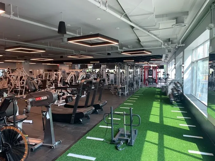 Harbor Fitness Picture 6