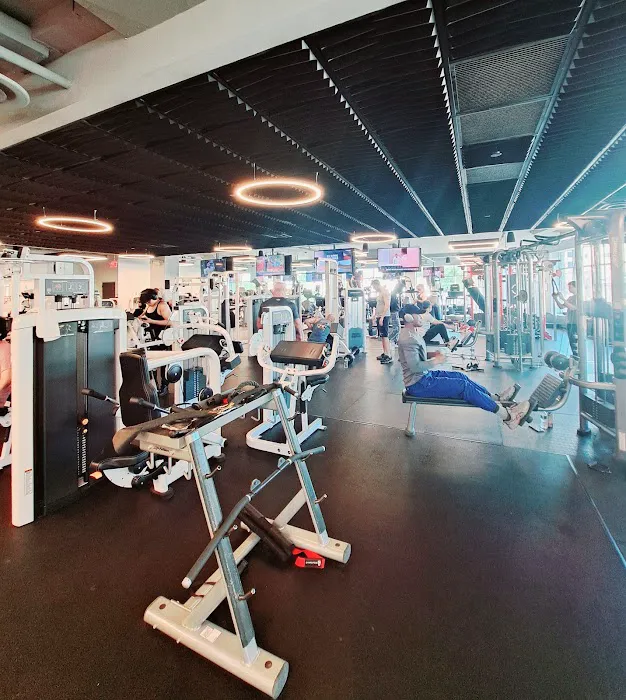 Harbor Fitness Picture 8