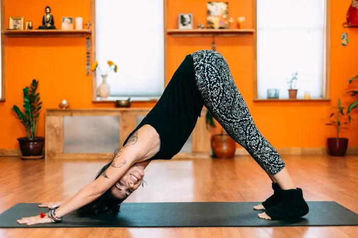 Yoga Way of Living Picture 5